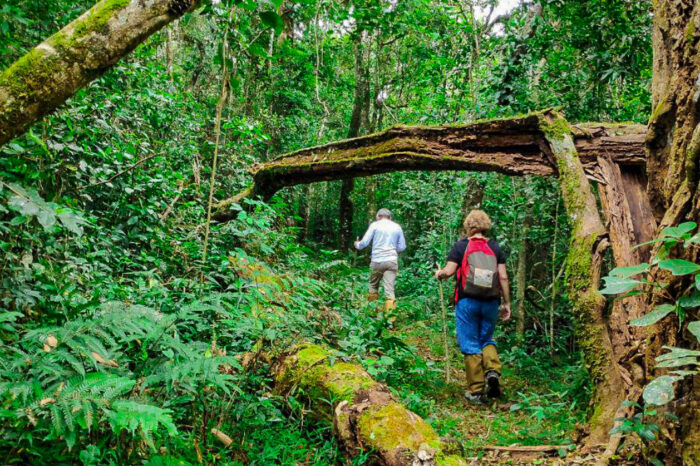 Discover the Beauty of Kerala – 7 Day Trekking Adventure
